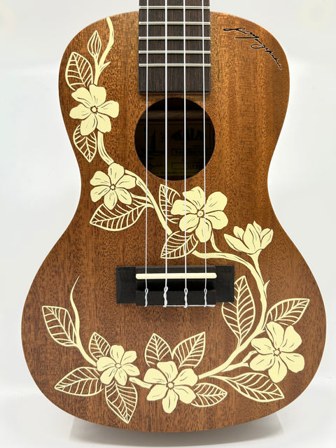 Kala Ukulele Gardenia Concert
