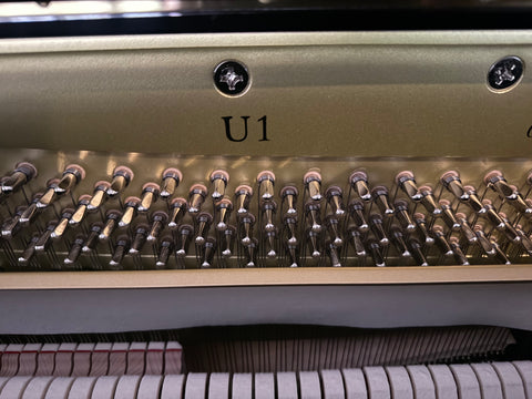 Yamaha Acoustic Piano - U1 PE