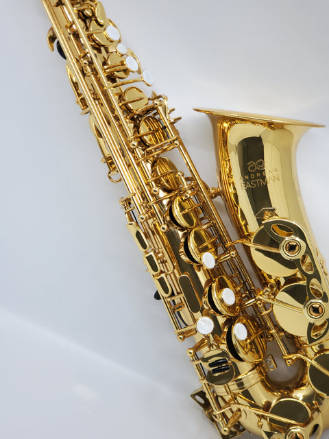Eastman Intermediate Alto Saxophone - EAS451