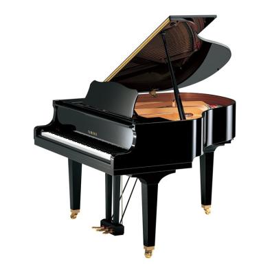 Acoustic Pianos