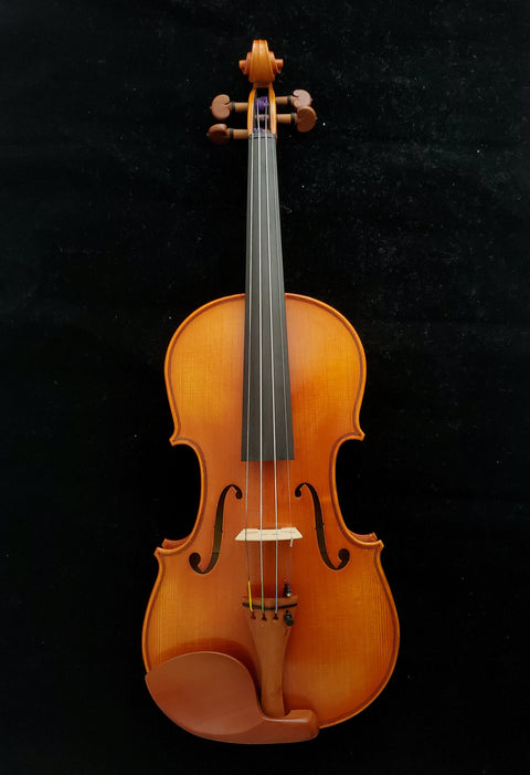 Eastman Violin Outfit - VL205