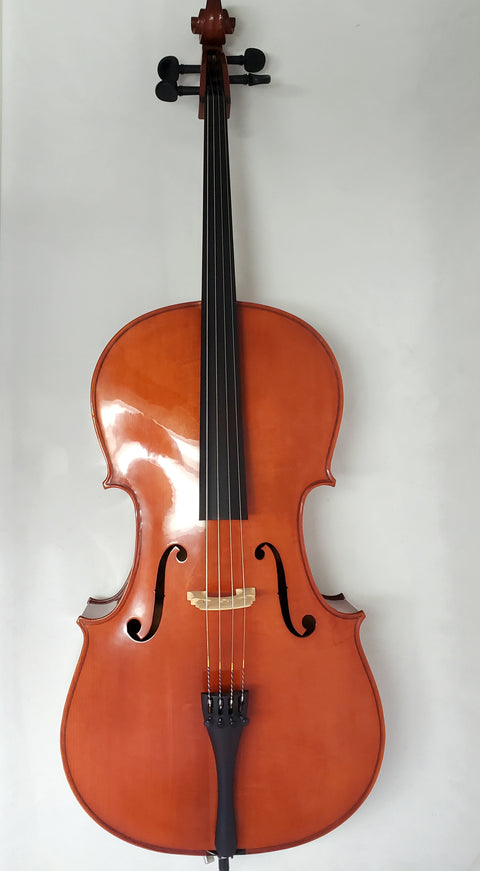 Yamaha 4/4 Cello Outfit - AVC5