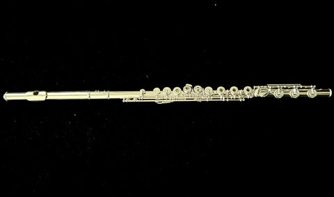 Haynes Q Series Flute - Q1-OEB