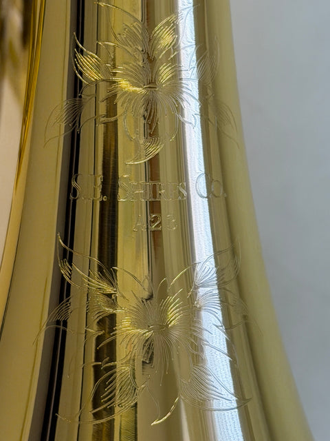 Shires French Horn - SHRA23