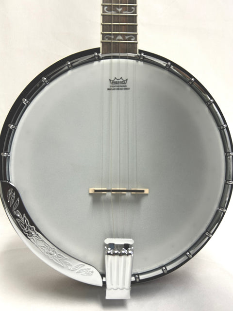 Washburn Banjo