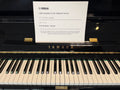 Used 52" Yamaha Professional Upright Piano - U3 PE