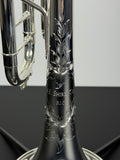 Shires Intermediate Trumpet - K10S