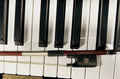 Cadenza Viola Bow BA-304