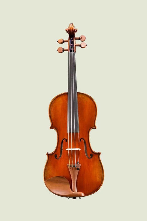 Eastman Violin Outfit - VL405