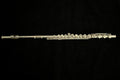 Used Azumi Intermediate Flute - AZ2SRBO