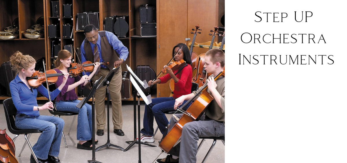 String Instruments Line Up Orchestra Instruments Pictures