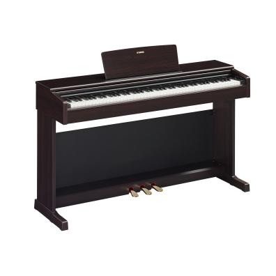 Yamaha Digital Piano - YDP145