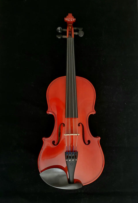 Klaus Holmann Viola - 110VA 15"