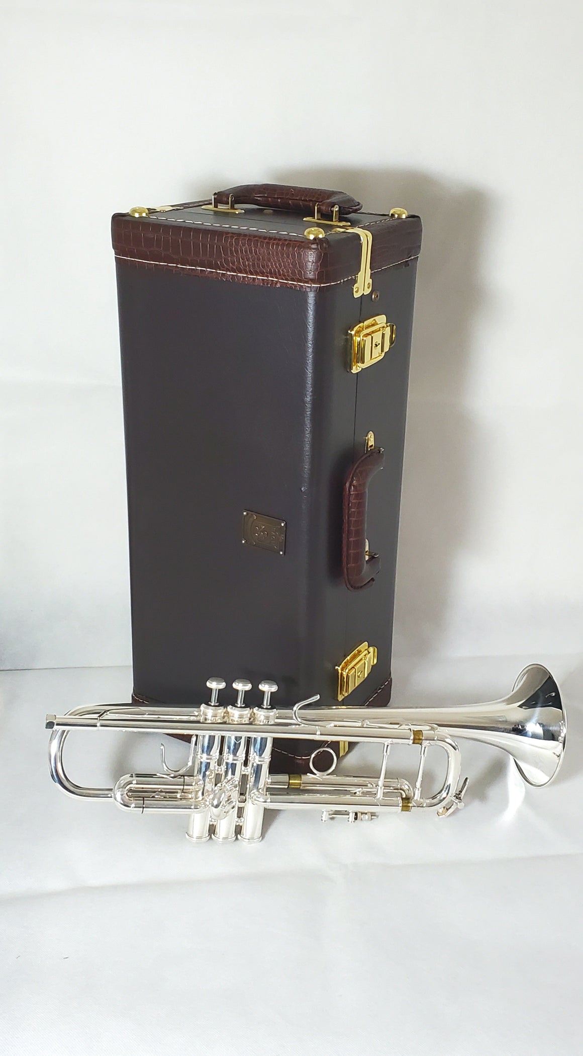 Bach Stradivarius Trumpet 180S-37