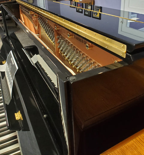 New Hailun Acoustic Piano HU-5P