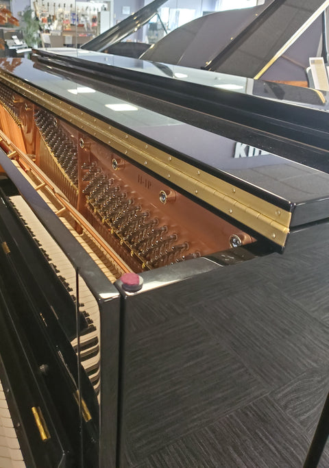 New Hailun Acoustic Piano HU-1P.