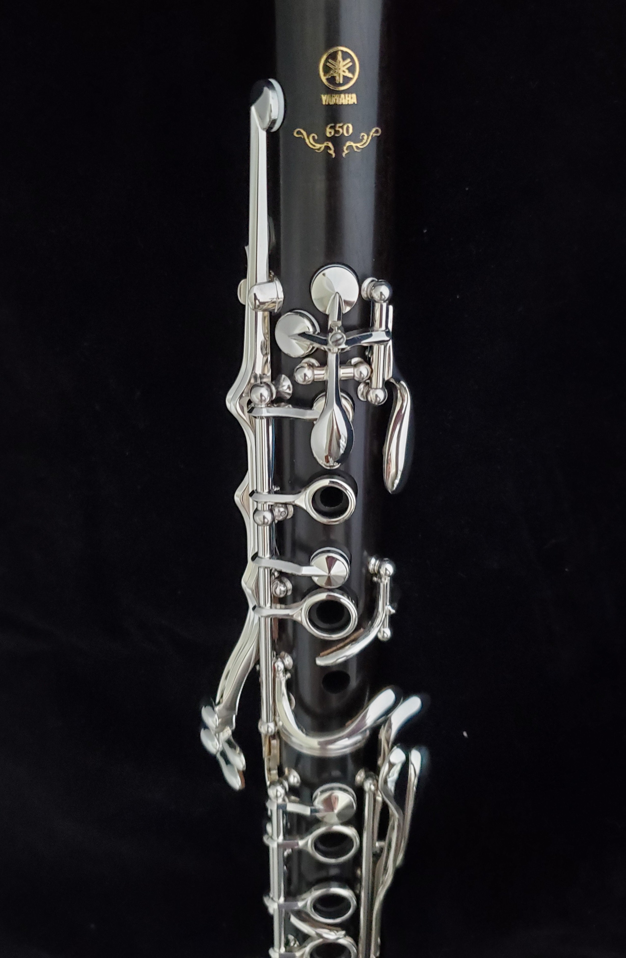 Yamaha Professional Clarinet - YCL-650 - H & H Music