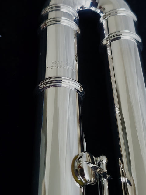 Amadeus Alto Flute - AF570CS