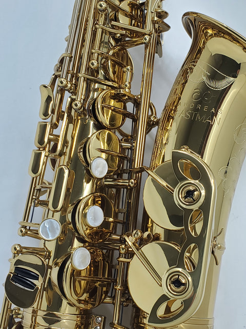 Eastman Professional Alto Saxophone - EAS650