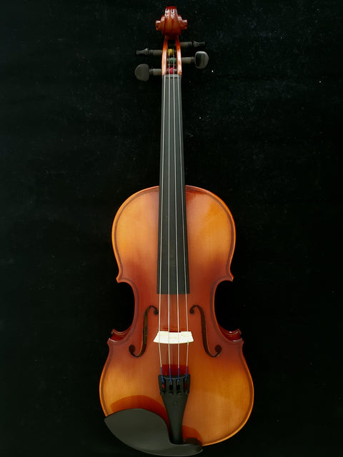 Klaus Holmann Violin Outfit - 120VN