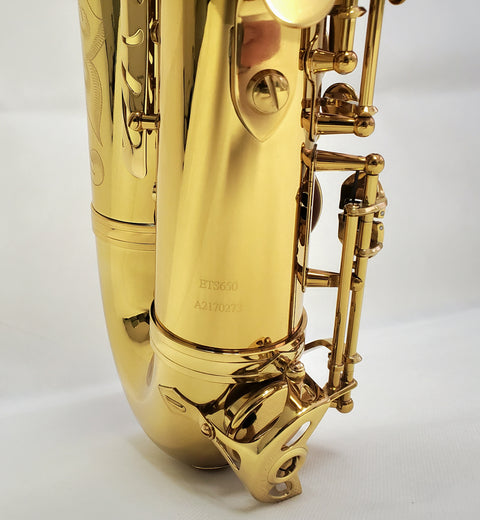 Eastman Professional Tenor Saxophone - ETS650