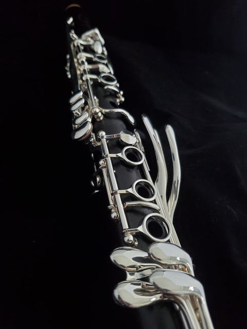 Backun - Q Professional Clarinet - Q2